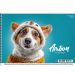 Альбом для малювання 20арк 100г спіраль Школярик Star