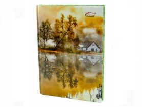 Тетрадь А-5 144л офс/кл твёрдый переплёт ламинированная Gold Brisk Тетрадь А-5 144л офс/кл твёрдый переплёт ламинированная Gold Brisk