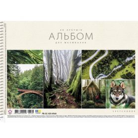Альбом для рисования 20л 100г спираль Школярик Star