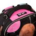 Рюкзак YES TS-93 Andre Tan Space dark pink 1відділення, ущільнена спинка, 4 кишені