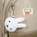 Рюкзак YES TS-113M Miffy Softness 2 отделения, ортопедиическая спинка, 2 кармана Рюкзак YES TS-113M Miffy Softness 2 отделения, ортопедиическая спинка, 2 кармана