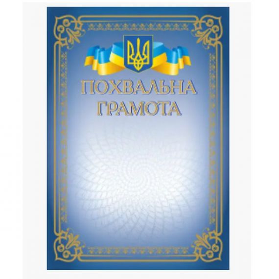 Грамота А-4 Похвальна грамота №163 ФП