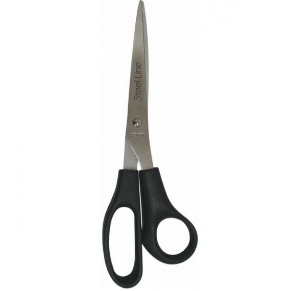 Ножиці 22 см пластикові ручки Economix на блістері Ножиці 22 см пластикові ручки Economix на блістері