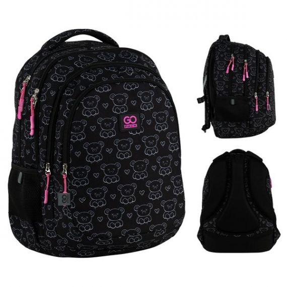 Рюкзак GoPack Education Teens 162L-2 3відділення, анатомічна спинка, 2бічні, 1передня кишеня