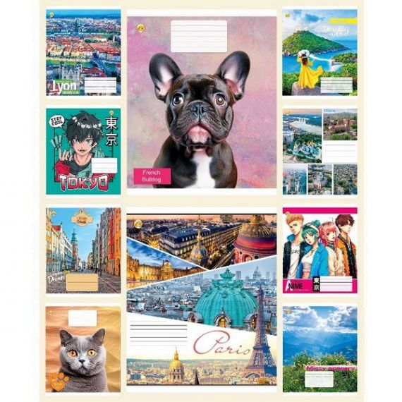 Тетрадь 24л. Тетрада WiLL офс/лин. №42302 Микс 2 Тетрадь 24л. Тетрада WiLL офс/лин. №42302 Микс 2