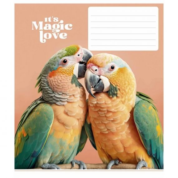 Зошит 12арк. Школярик Star кл. №3300 It's a magic love