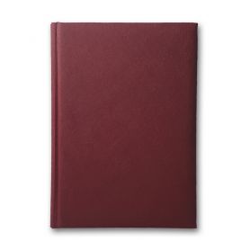 Щоденник А-5 168аркушів ЗВ-43 Infolk бордо *Brisk Office