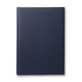 Щоденник А-5 168аркушів Infolk синій клітинка *Brisk Office