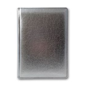 Щоденник А-5 168аркушів Flash сріблястий *Brisk Office