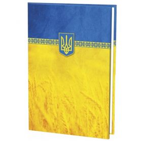 Папка Герб национальная символика желто-голубая