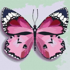 Картина по номерах 25х25см Помаранчевий метелик