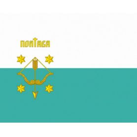 Флаг Полтавы 90х135 одинарный нейлон с гербом