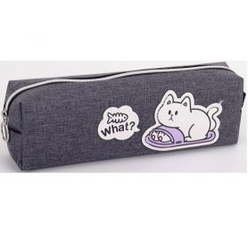 Пенал Bourgeois на блискавці, 1відділення, 21х6х4,5см KJ3999 сірий Пенал Bourgeois на блискавці, 1відділення, 21х6х4,5см KJ3999 сірий