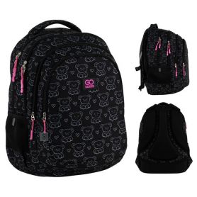 Рюкзак GoPack Education Teens 162L-2 3відділення, анатомічна спинка, 2бічні, 1передня кишеня