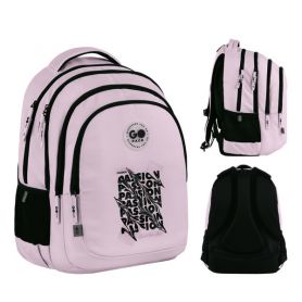 Рюкзак GoPack Education Teens 162L-2 3відділення, анатомічна спинка, 2бічні, 1передня кишеня