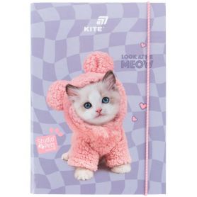 Папка для зошитів В-5 картон на гумці Studio Pets Kite