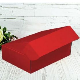 Коробка подарункова картон 25х16,5х9 прямокутна червона