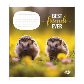 Зошит 12арк. Бріск офс/кл. №2417 Кращi друзi