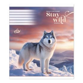 Зошит 48арк. Бріск офс/кл. №2446 Вільний дух