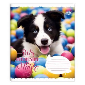 Зошит 18арк. Бріск офс/кл. №2555 Мій друг