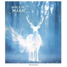 Зошит 96арк. Школярик Star кл. УФлак №3431 World of Magic Зошит 96арк. Школярик Star кл. УФлак №3431 World of Magic