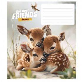 Зошит 12арк. Школярик кос. №3434 The best friends